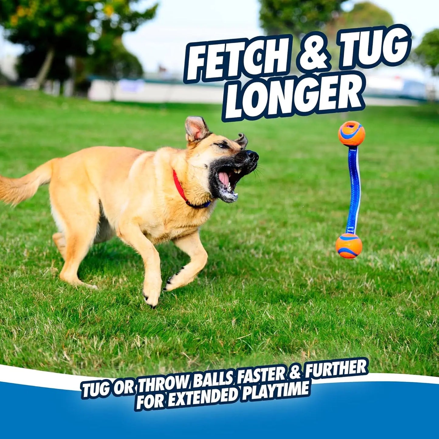 Durable Dog Toy With Two Balls On Nylon Cord