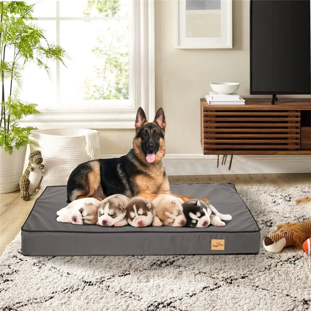 Orthopedic Memory Foam Dog Bed Waterproof Washable Cover