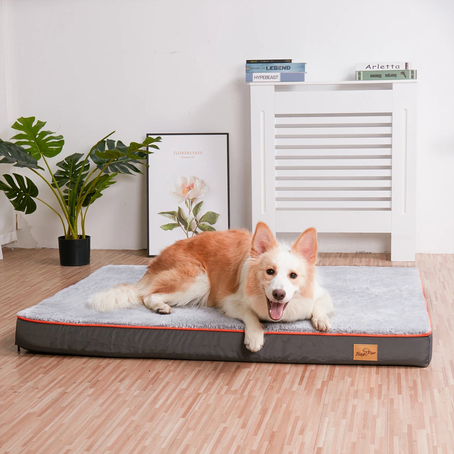 BINGOPAW Orthopedic Dog Bed With Memory Foam Waterproof Cover