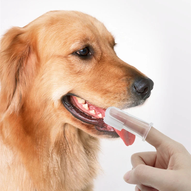 Dr.DC Super Soft Dog Toothbrush And Finger Brush For Dogs And Cats Dental Care Essentials