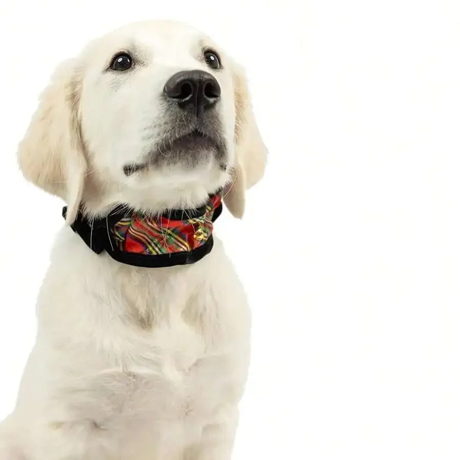 Soft Plush Pet Scrunchy With Bells For Dogs And Cats