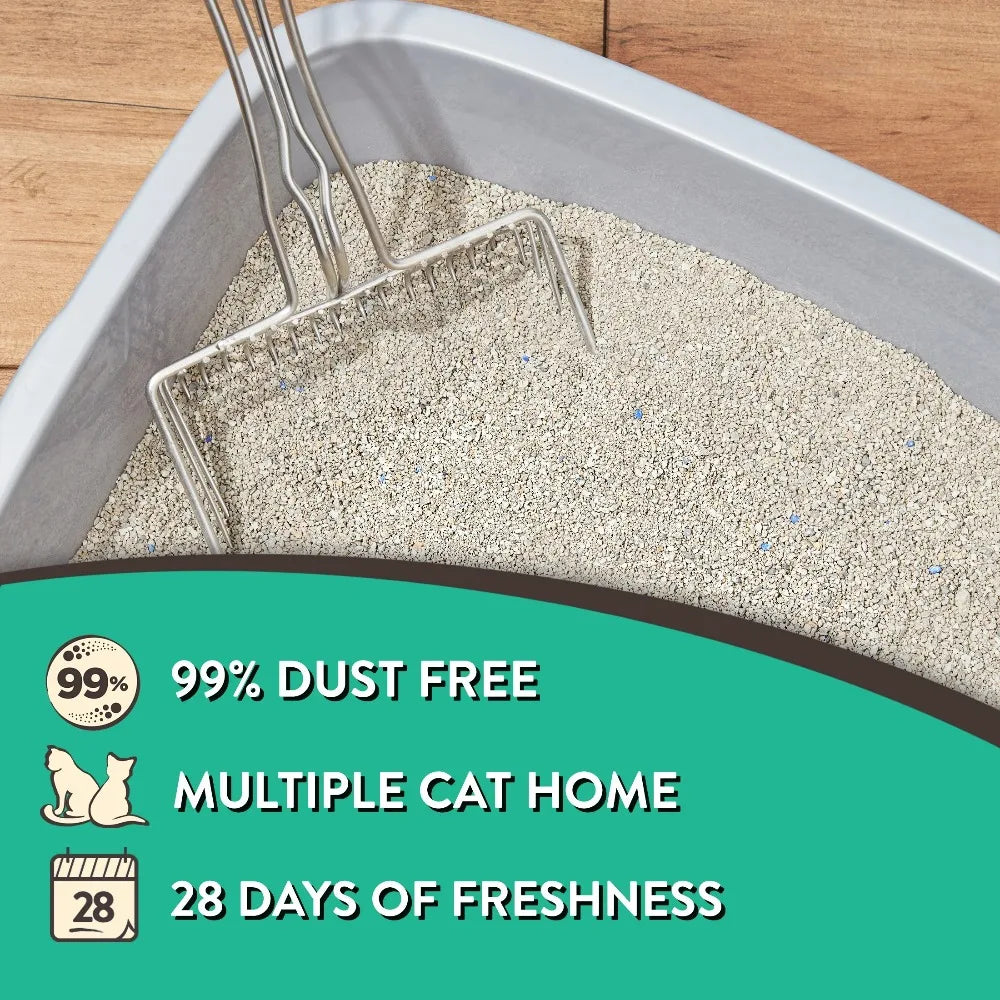 Clumping Clay Cat Litter 4 Pack With Fresh Scent Odor Control Fast Clumping For All Cats