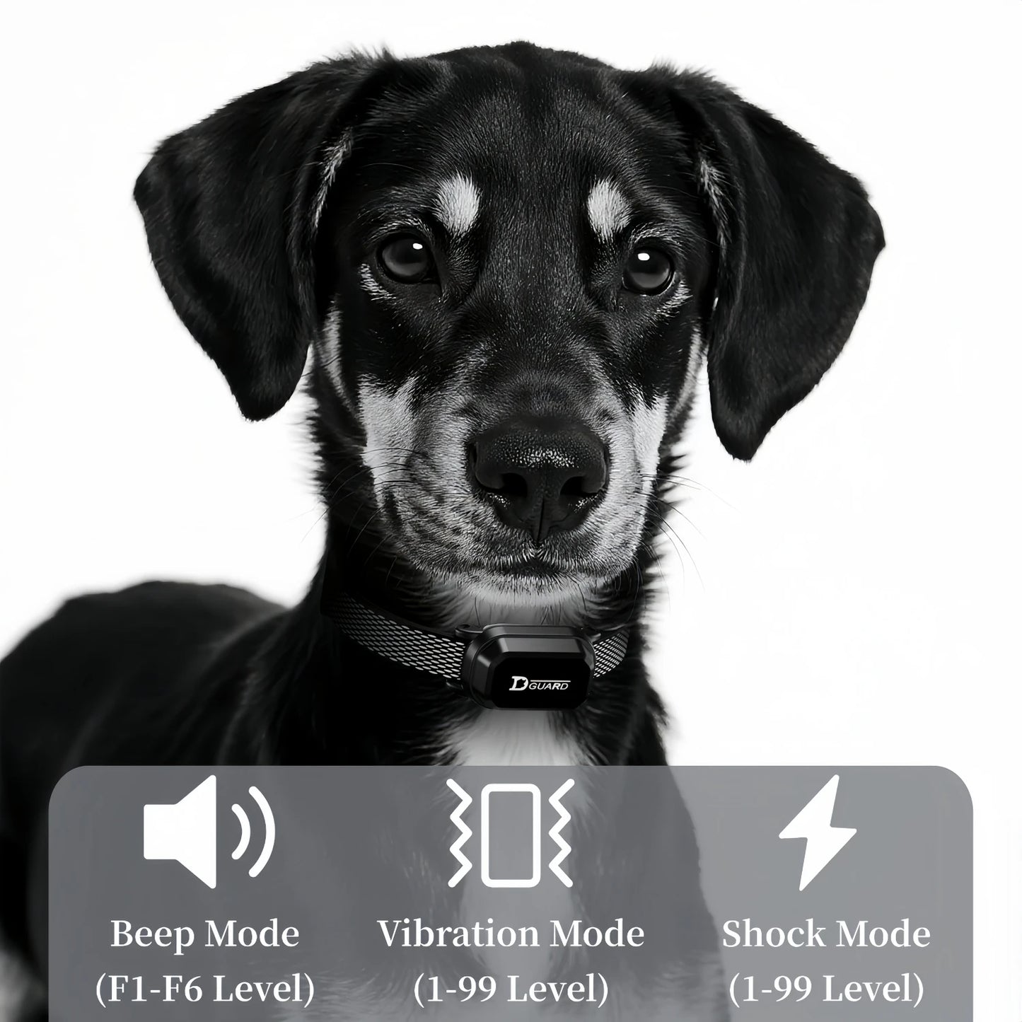 YHLC Waterproof Electric Dog Training Collar With Remote