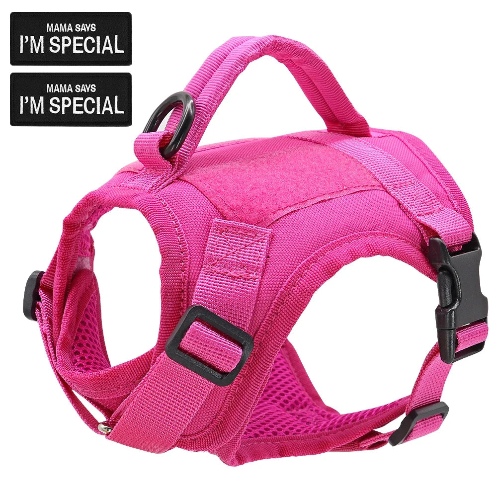 Didog Nylon Cat Harness Vest With Handle Military Tactical Style For Cats And Small Dogs