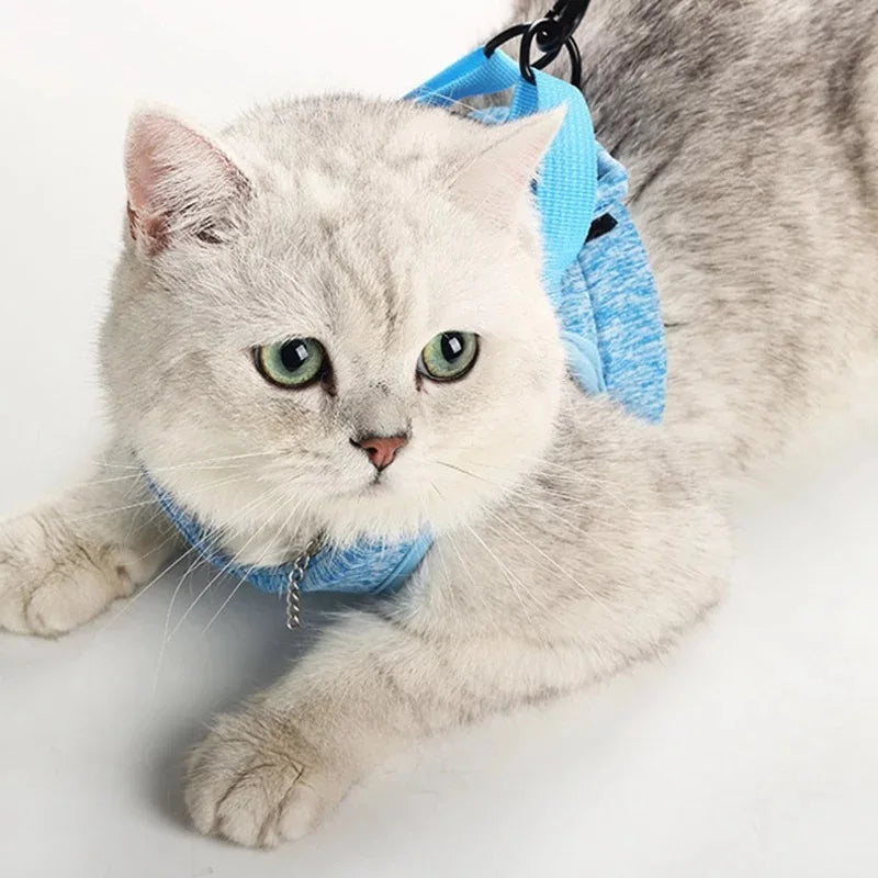 Adjustable Anti Escape Cat Harness Kitten Vest Breathable Lightweight Padded Quick Release Reflective Walking