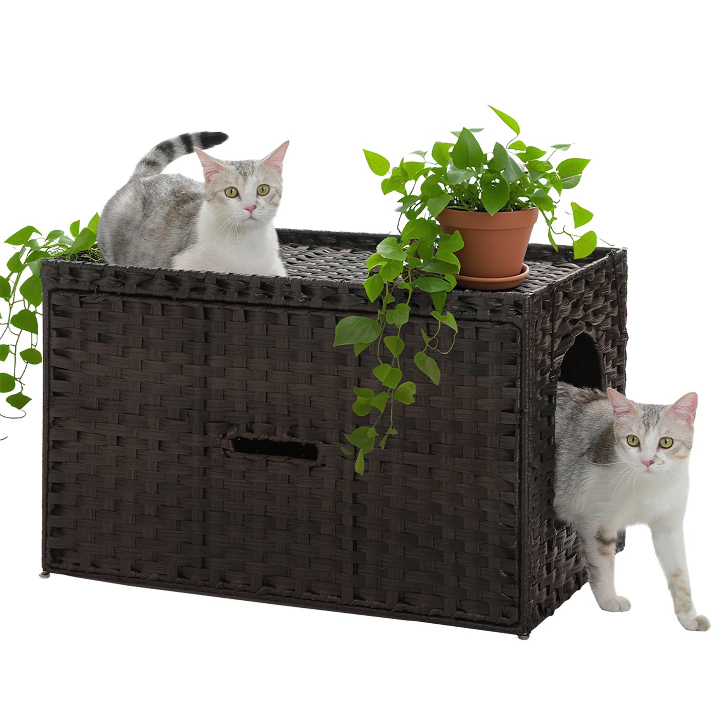 PAWZ Road Rattan Cat Litter Box Enclosure
