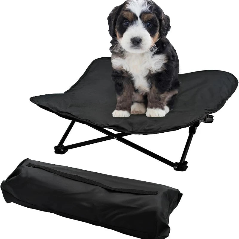 Elevated Portable Dog Bed Raised Pet Cot With Carry Bag