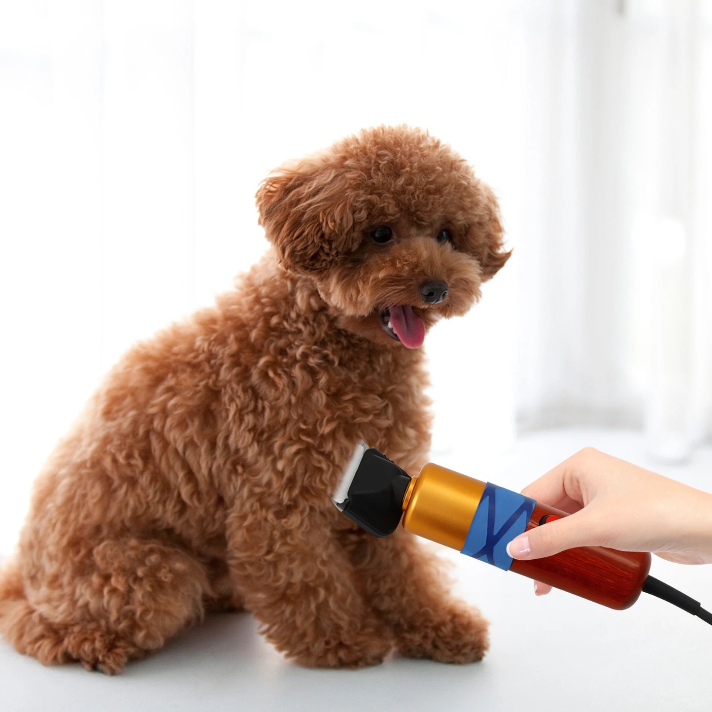 Low Noise Pet Hair Clipper Professional Electric Variable Speed