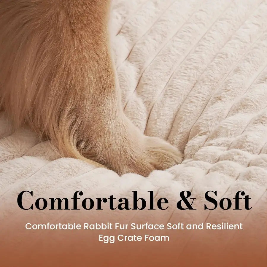 Orthopedic Dog Bed With Waterproof Lining And Plush Surface