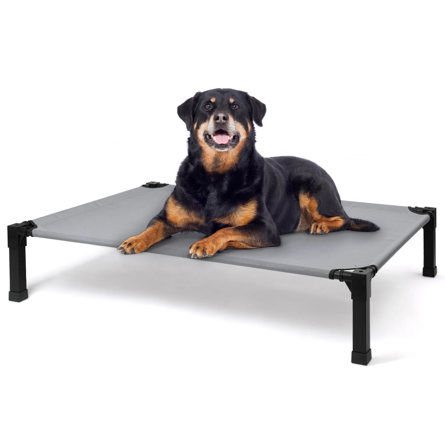 Elevated Dog Bed With Breathable Mesh Frame Portable Cot