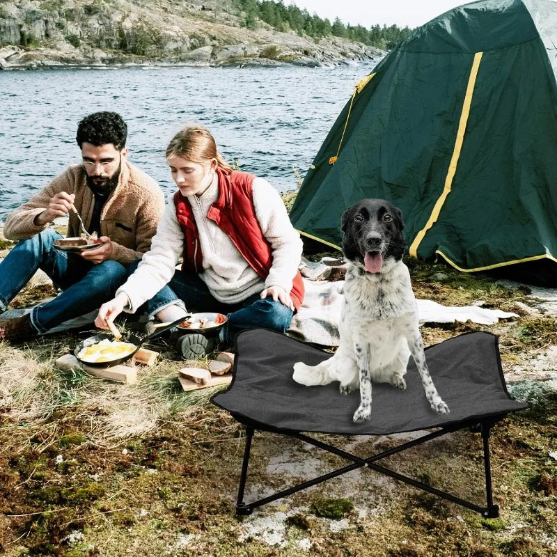 Elevated Portable Dog Bed Raised Pet Cot With Carry Bag