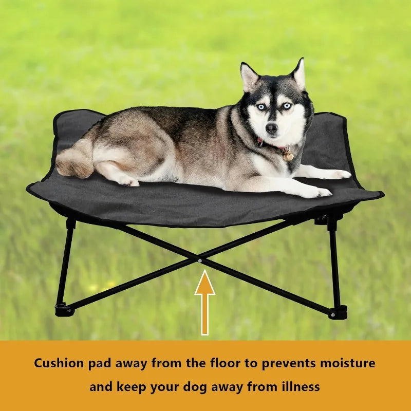 Elevated Portable Dog Bed Raised Pet Cot With Carry Bag