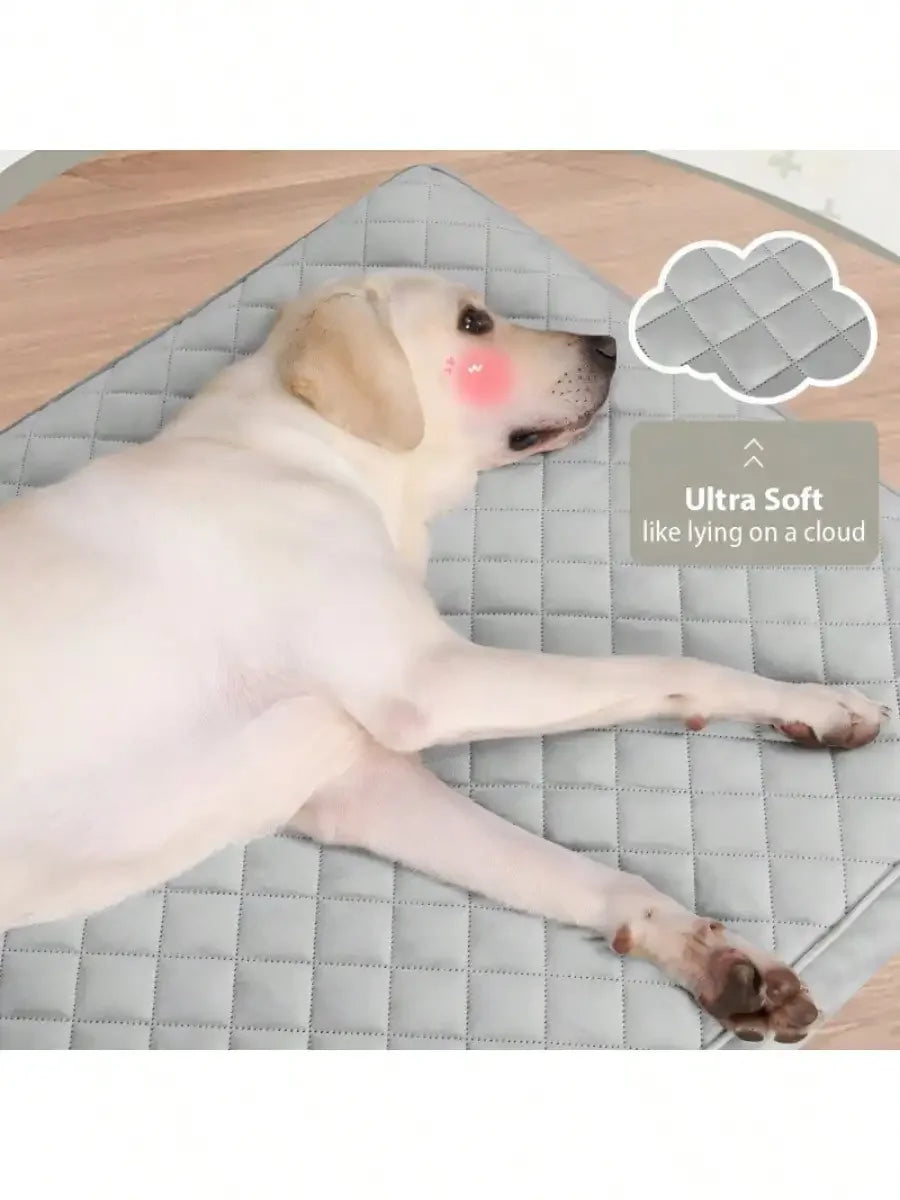 Orthopedic Dog Bed With Removable Washable Cover And Egg Crate Foam