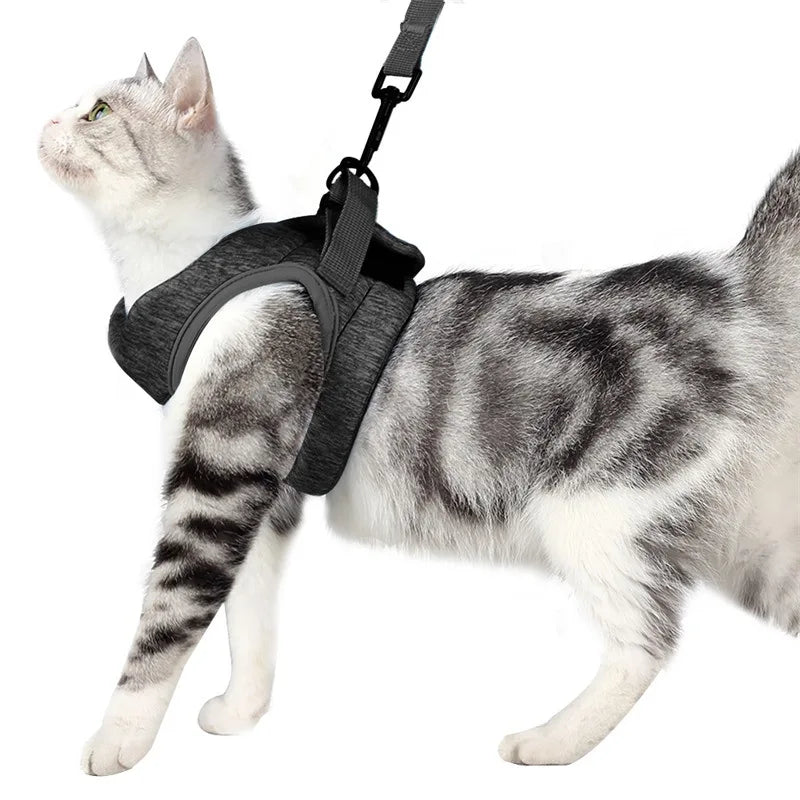 Adjustable Anti Escape Cat Harness Kitten Vest Breathable Lightweight Padded Quick Release Reflective Walking