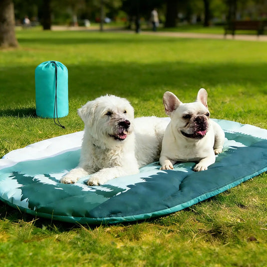 Reversible Outdoor Travel Dog Bed Waterproof With Carry Bag