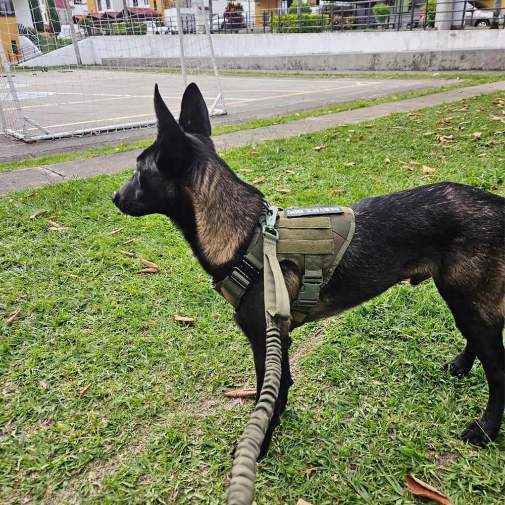 PETRAVEL Tactical Dog Harness Leash Set for Working Dogs