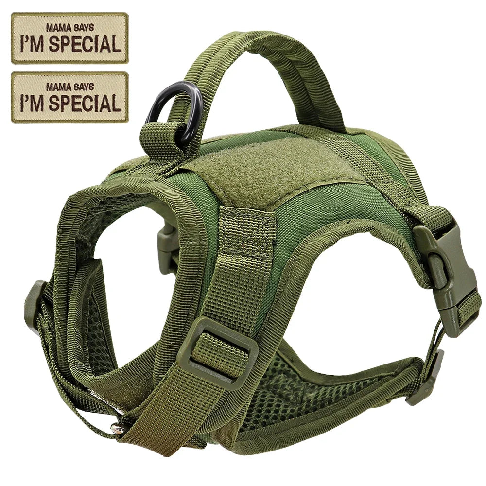 Didog Nylon Cat Harness Vest With Handle Military Tactical Style For Cats And Small Dogs