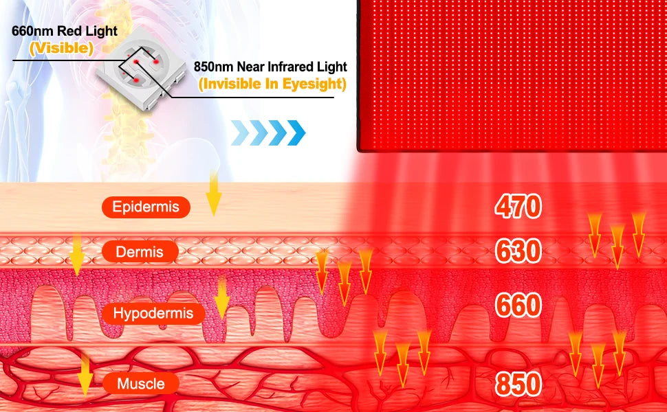 ZONGKUNG Red Light Therapy Pad 660nm 850nm Infrared Wrap Belt