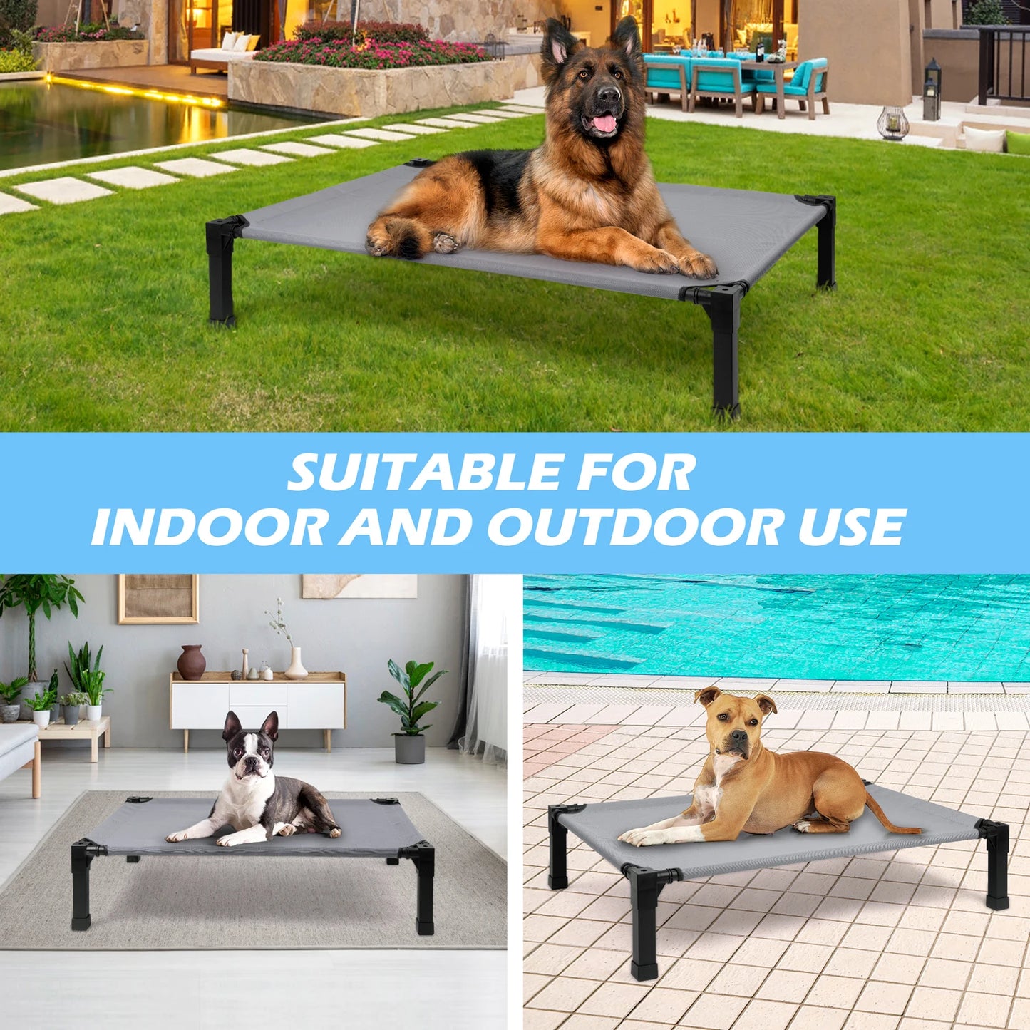 Elevated Dog Bed With Breathable Mesh Frame Portable Cot