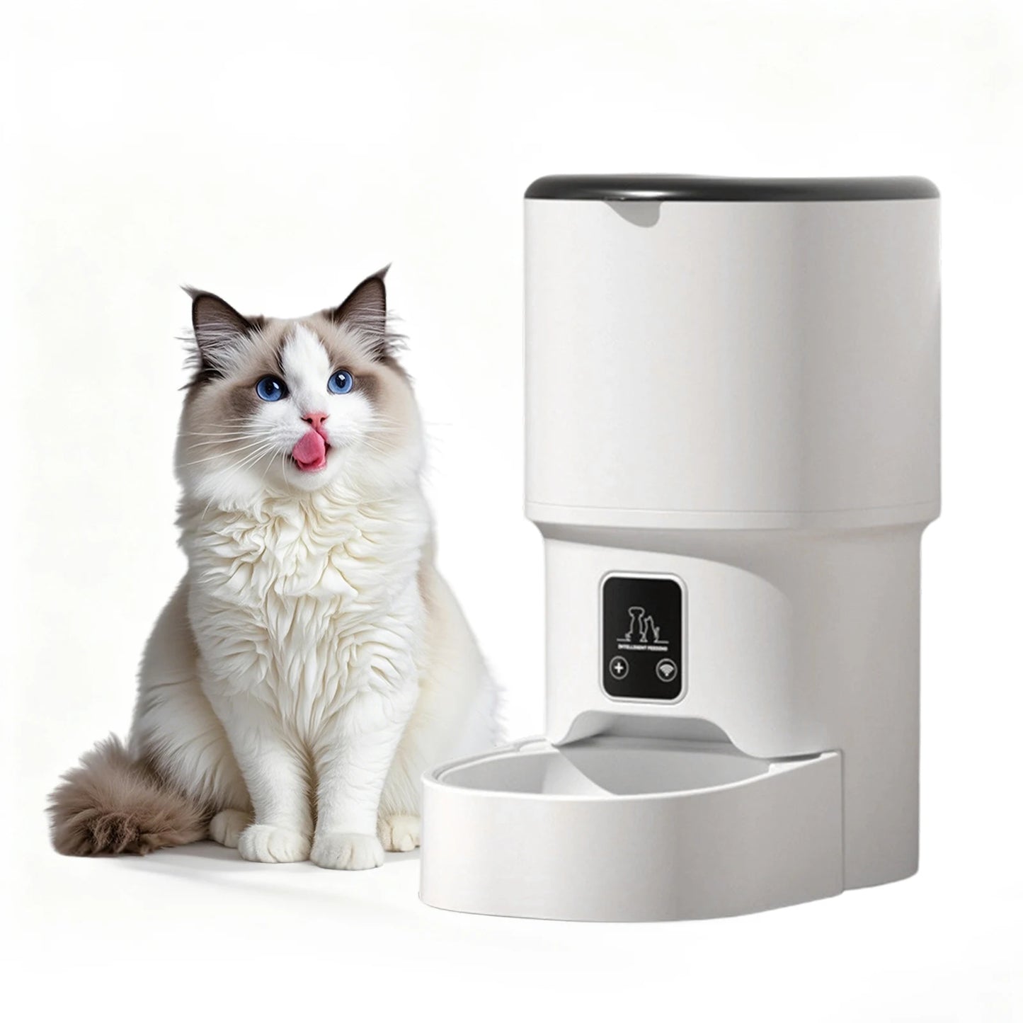 HiMISS Automatic Cat Feeder With Timer Up To Six Meals Daily Programmable Portion Control