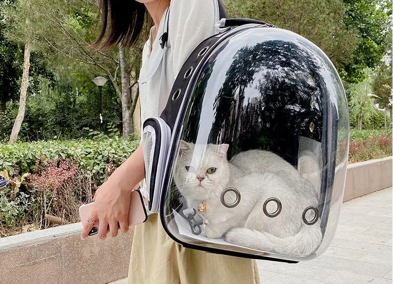 Space Capsule Pet Carrier Backpack For Cats And Dogs