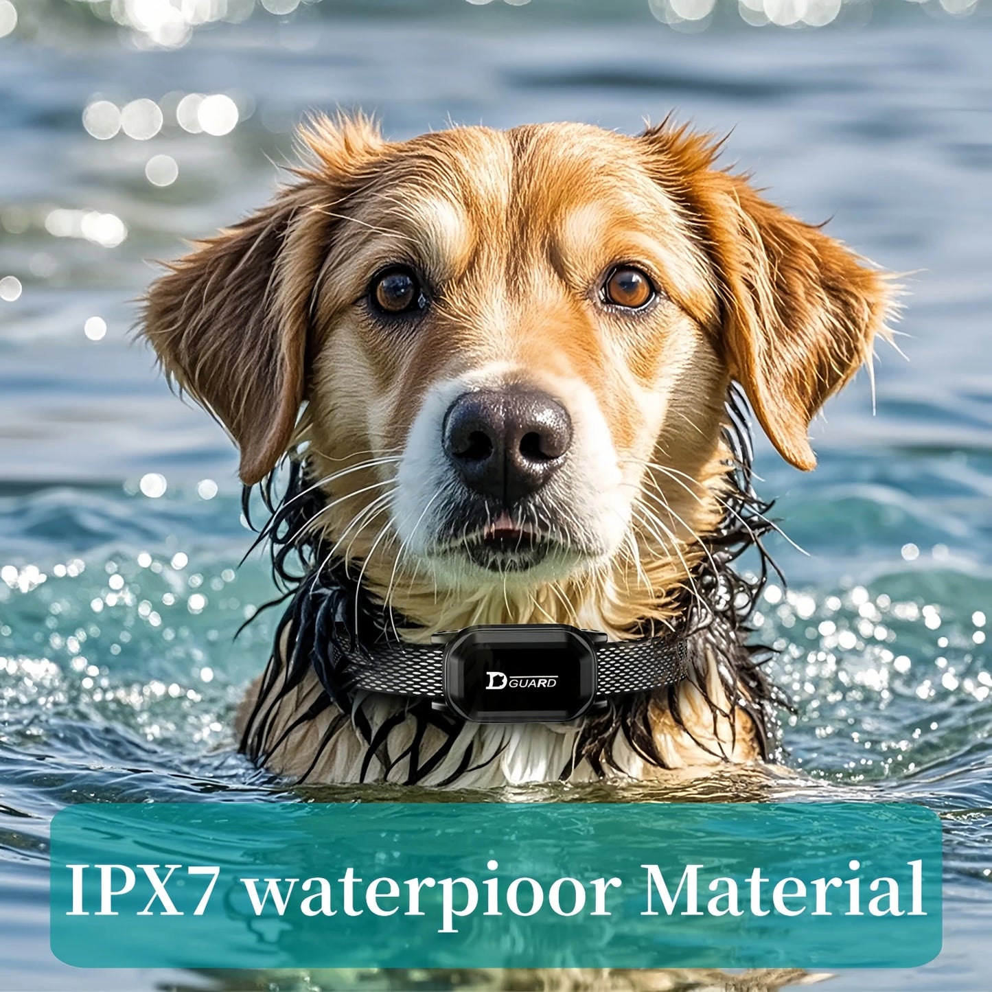 YHLC Waterproof Electric Dog Training Collar With Remote