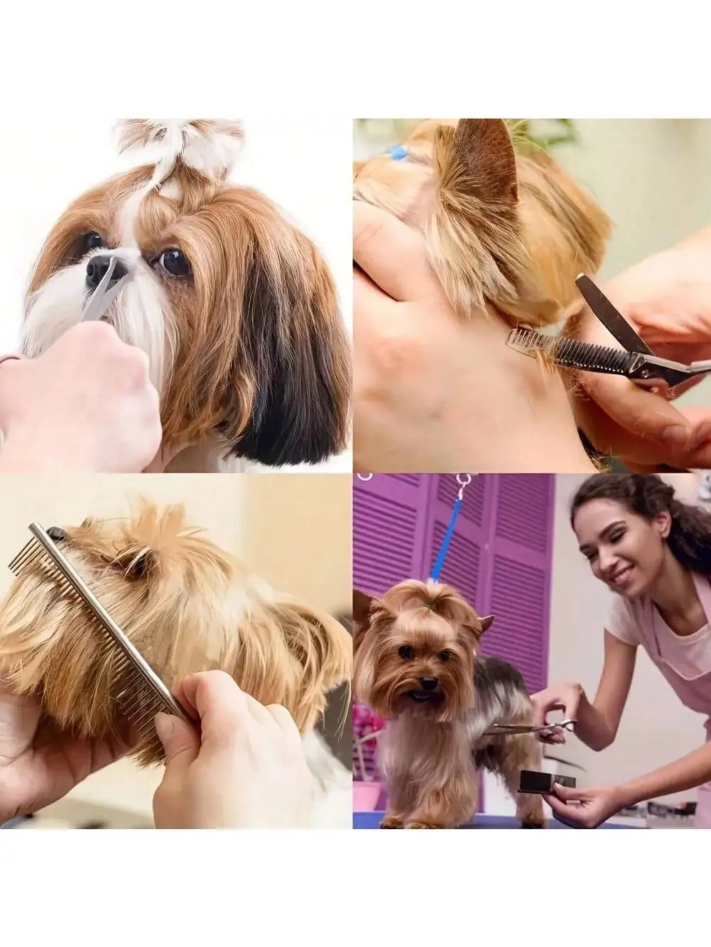 Professional Pet Grooming Scissors Set For Dogs And Cats With Stainless Steel Blades
