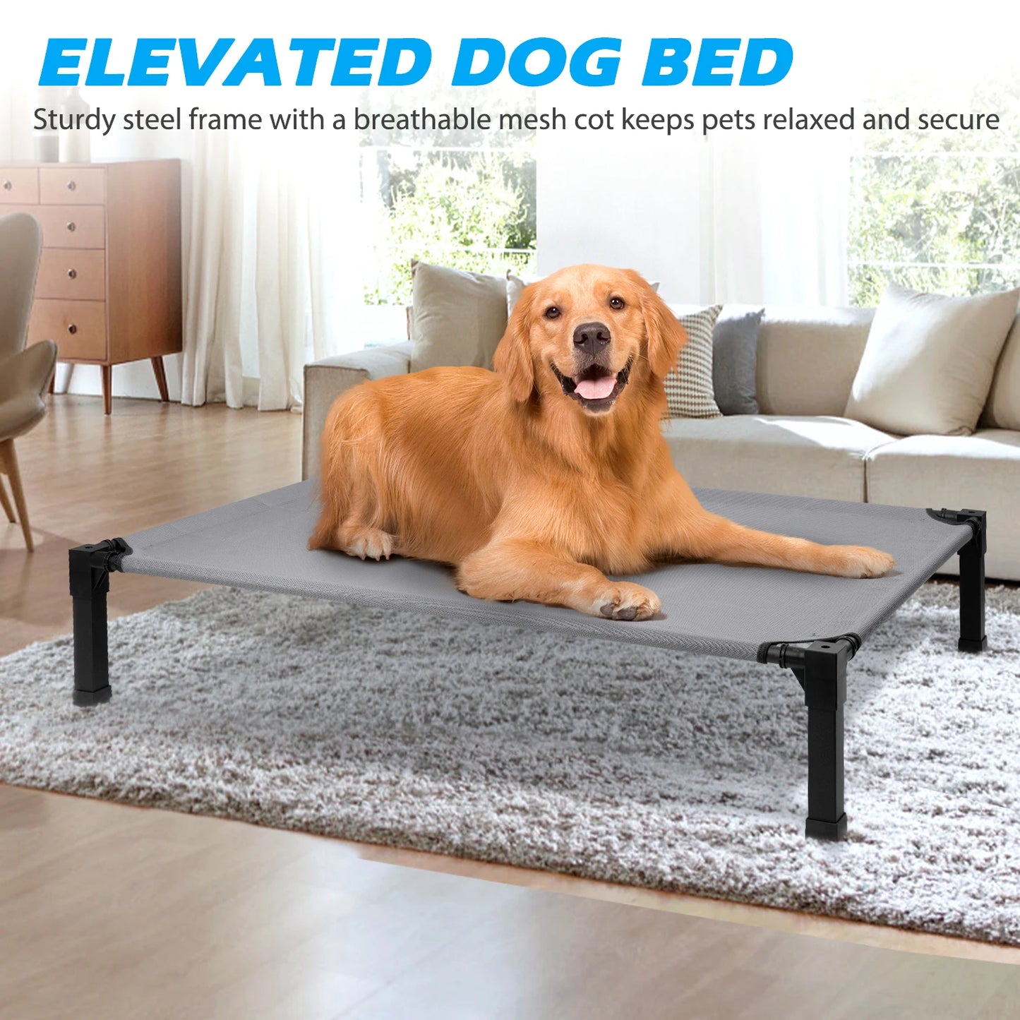 Elevated Dog Bed With Breathable Mesh Frame Portable Cot
