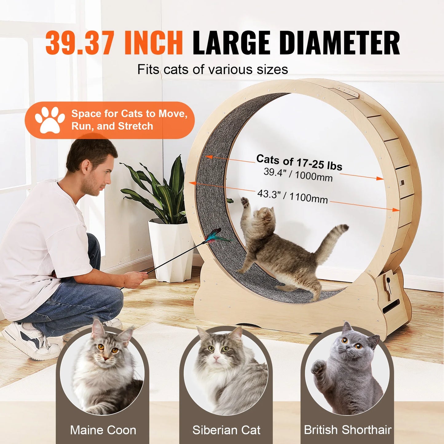 SucceBuy Wooden Cat Exercise Wheel Indoor Treadmill