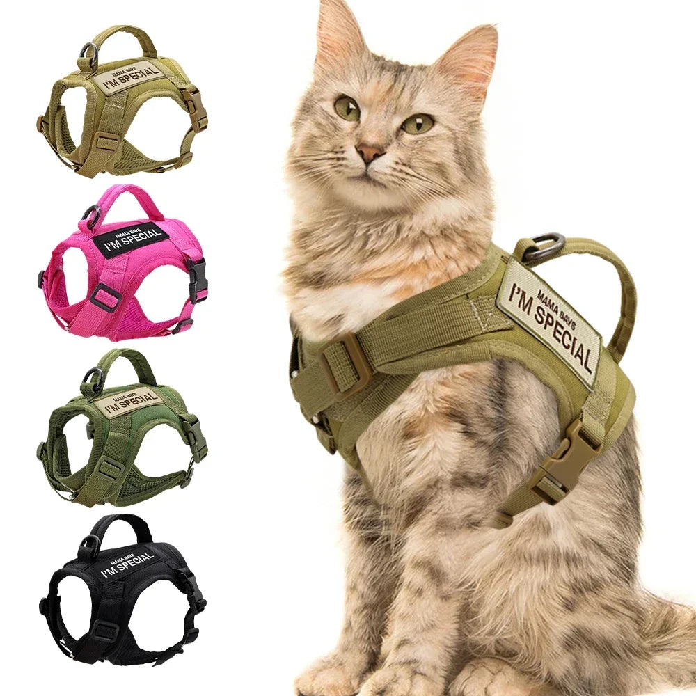Didog Nylon Cat Harness Vest With Handle Military Tactical Style For Cats And Small Dogs