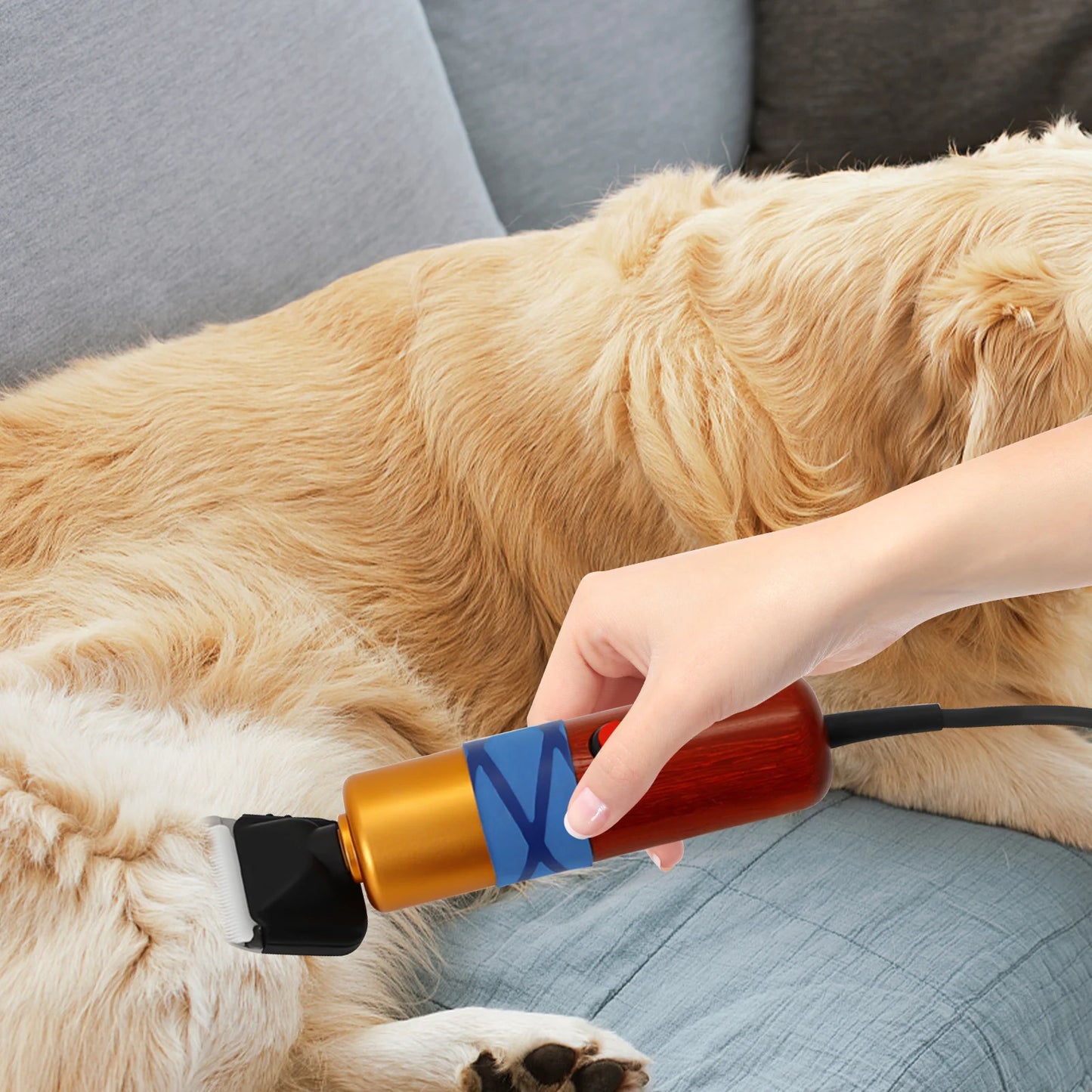 Low Noise Pet Hair Clipper Professional Electric Variable Speed