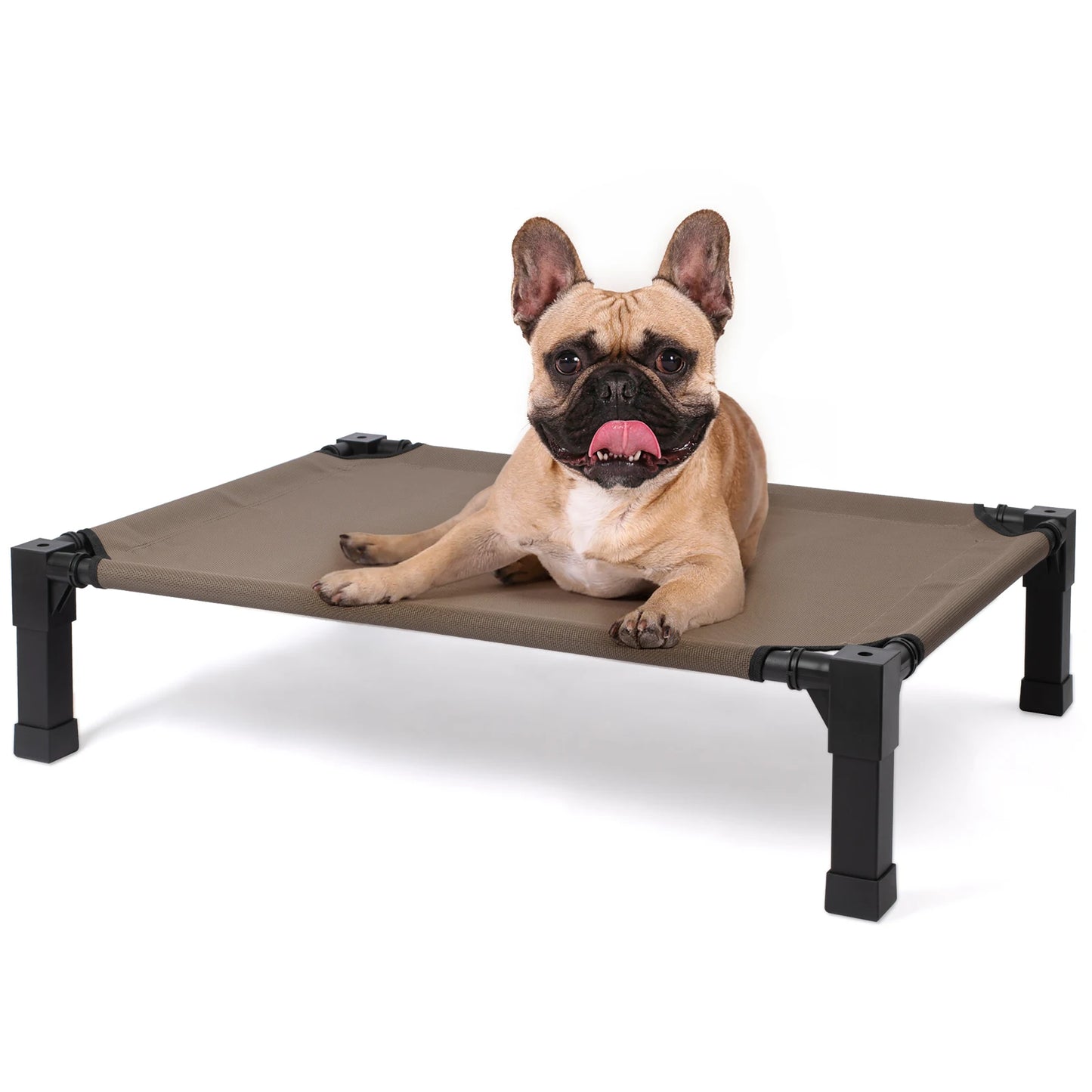 Elevated Dog Bed With Breathable Mesh Frame Portable Cot