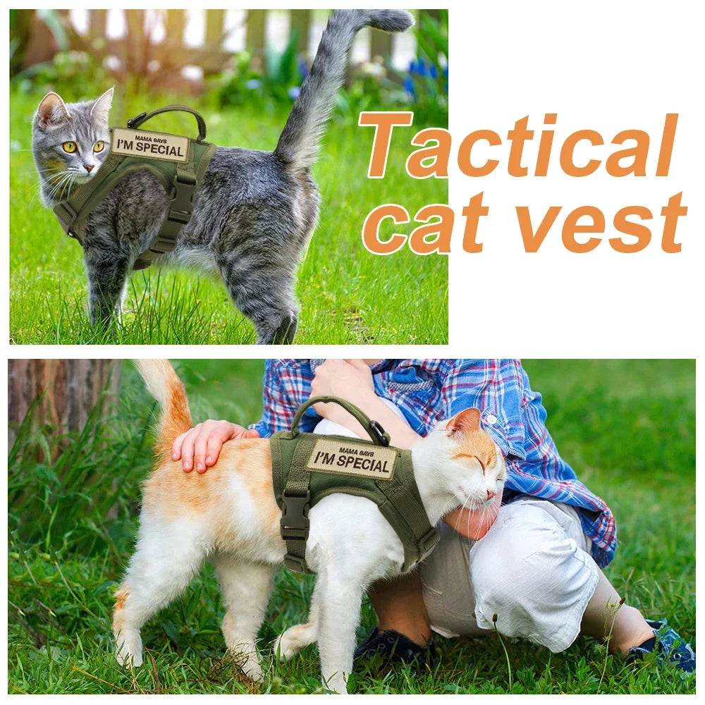 Didog Nylon Cat Harness Vest With Handle Military Tactical Style For Cats And Small Dogs