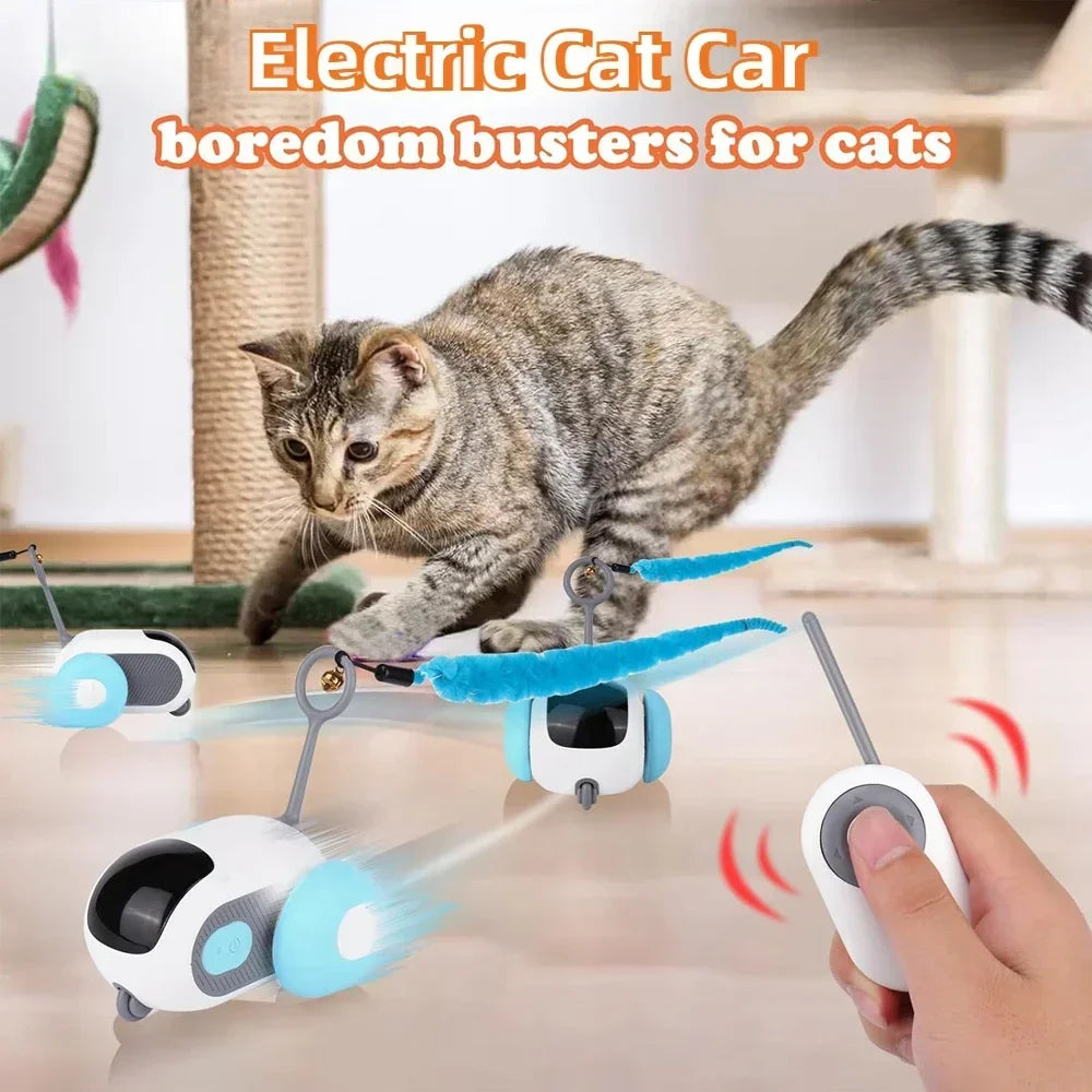 Automatic Rolling Remote Control Cat Toy Car For Pets