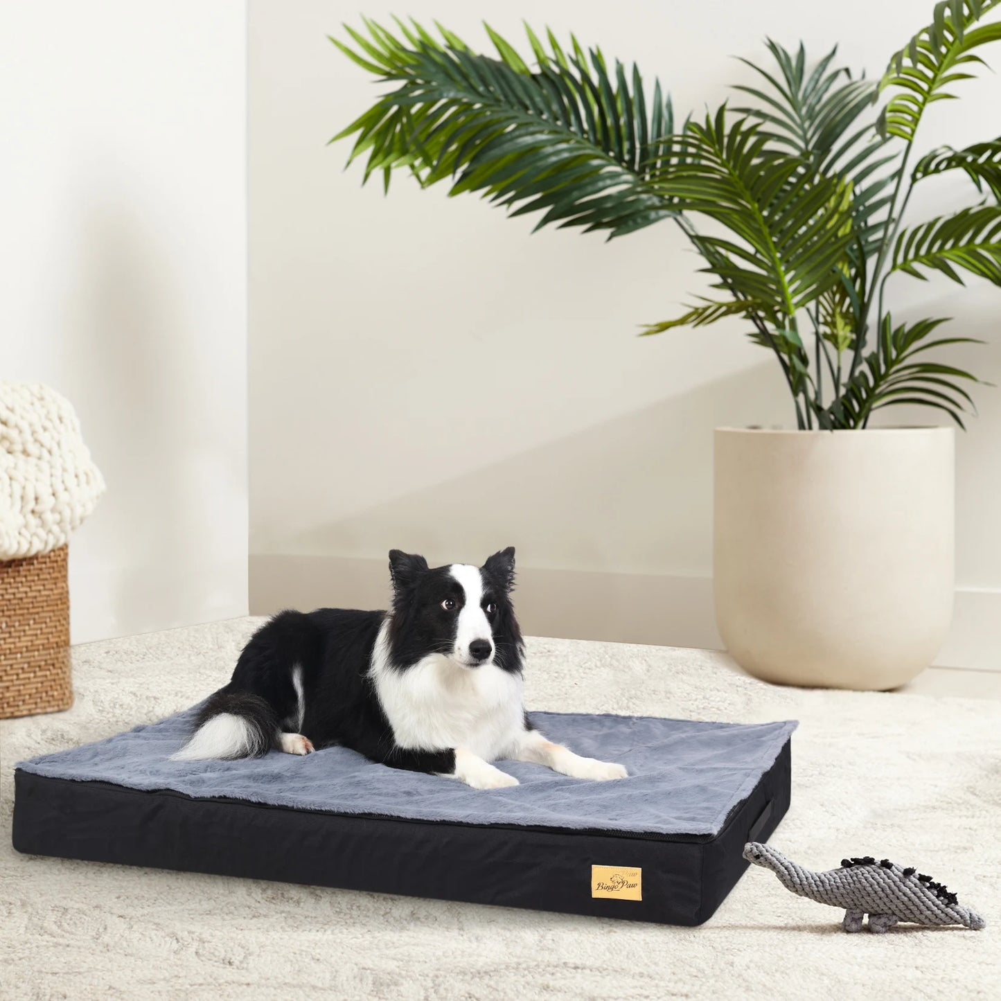 Orthopedic Memory Foam Dog Bed Waterproof Washable Cover