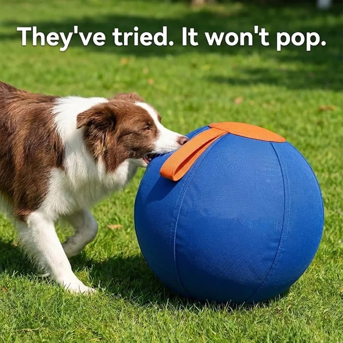Herding Ball For Dogs Enrichment Ball Tear Resistant