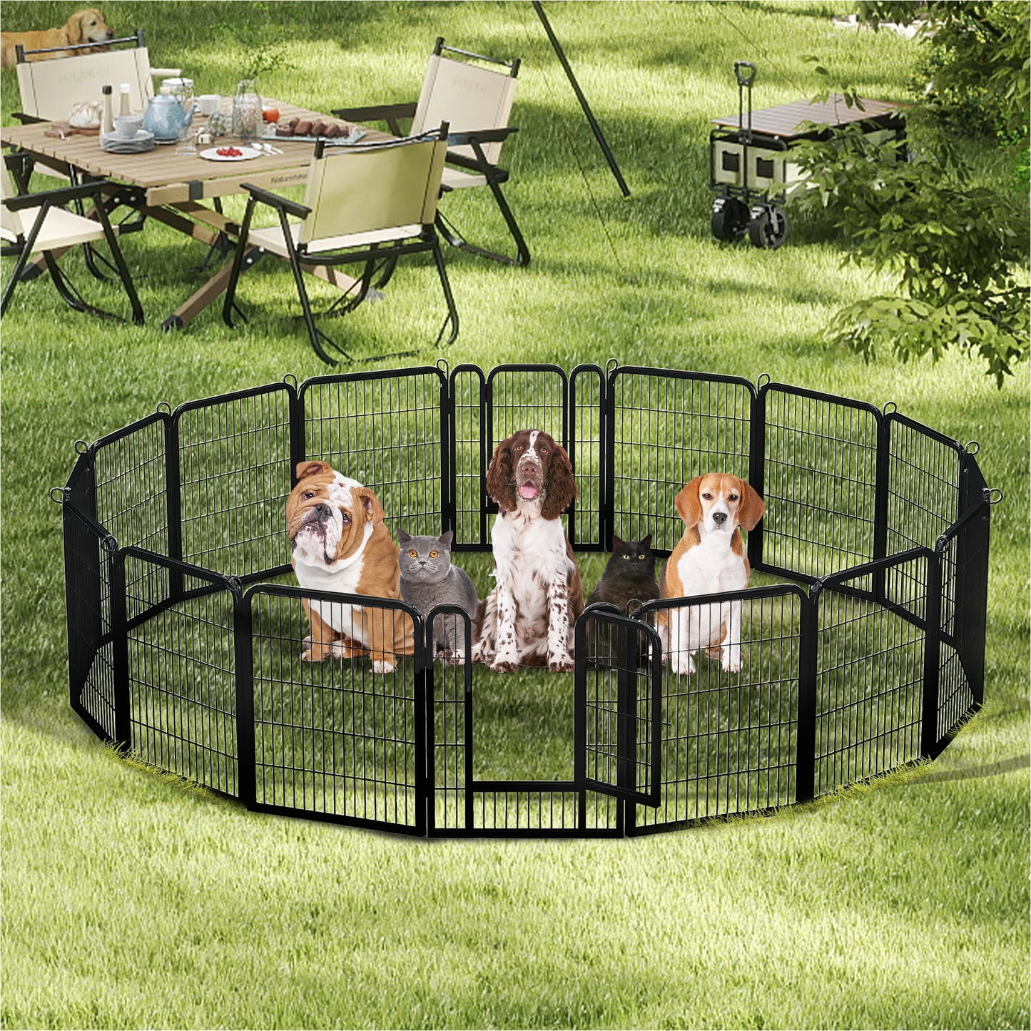 Dog Playpen With Door Foldable Metal Pet Fence For Indoor Outdoor Use Heavy Duty