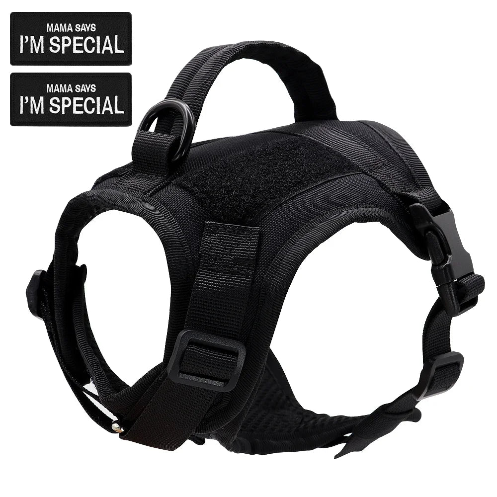 Didog Nylon Cat Harness Vest With Handle Military Tactical Style For Cats And Small Dogs