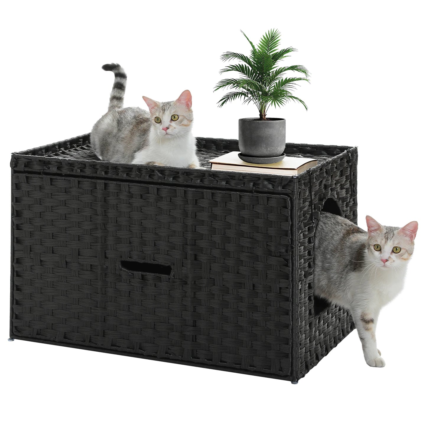 PAWZ Road Rattan Cat Litter Box Enclosure