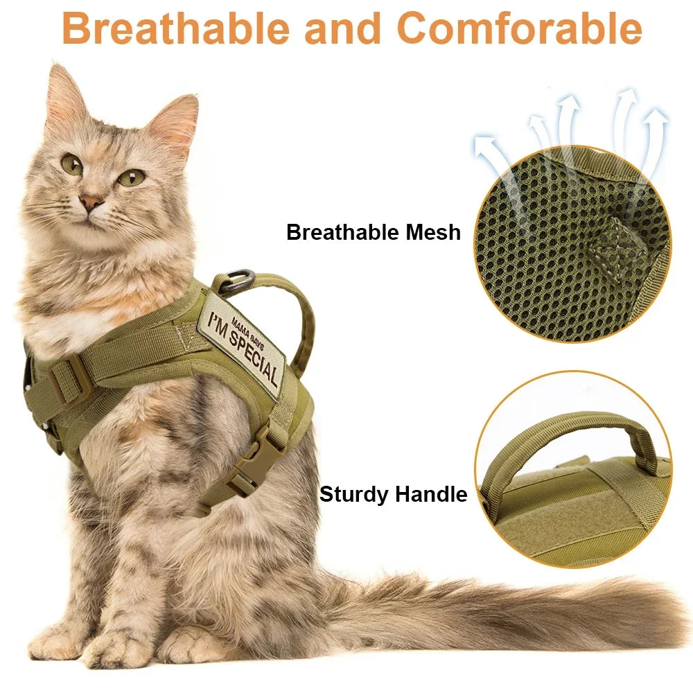 Didog Nylon Cat Harness Vest With Handle Military Tactical Style For Cats And Small Dogs