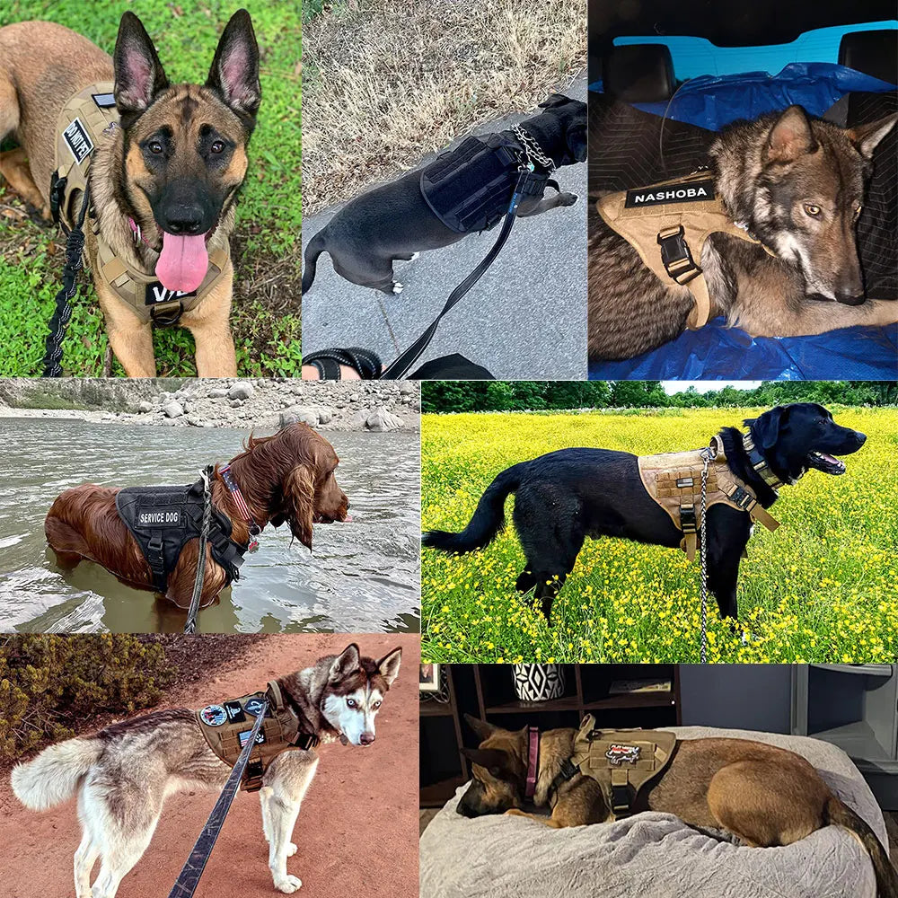 PETRAVEL Tactical Dog Harness Leash Set for Working Dogs