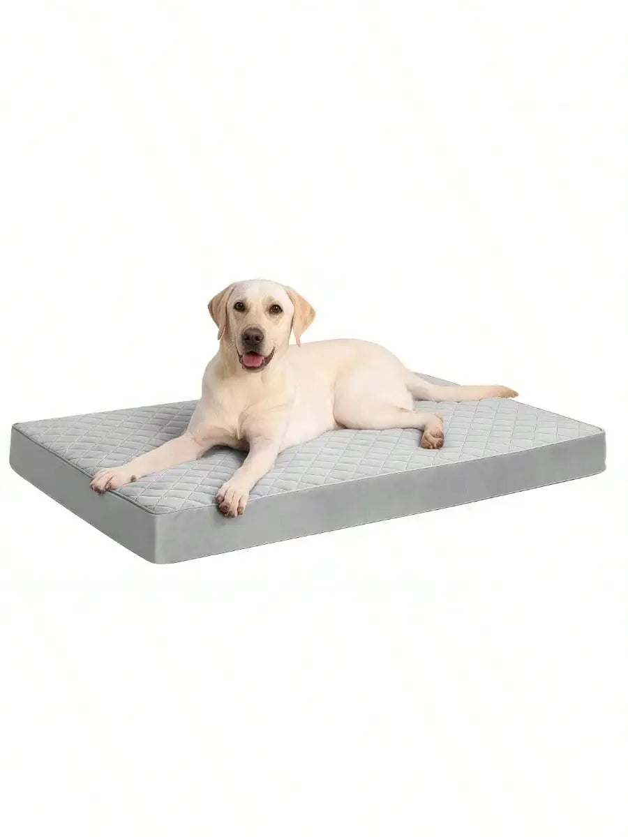 Orthopedic Dog Bed With Removable Washable Cover And Egg Crate Foam