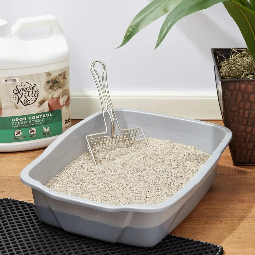 Clumping Clay Cat Litter 4 Pack With Fresh Scent Odor Control Fast Clumping For All Cats