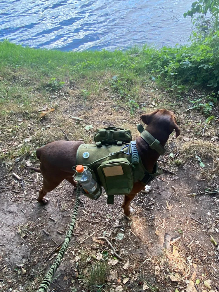 PETRAVEL Tactical Dog Harness Vest for Medium to Large Dogs